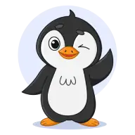 User 9